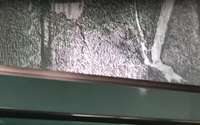 Why Do Shower Glass Doors Break?