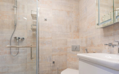 Design Options for a Frameless Shower Enclosure