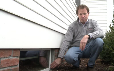 Why You Shouldn’t Overlook Your Basement When You Replace Your Windows