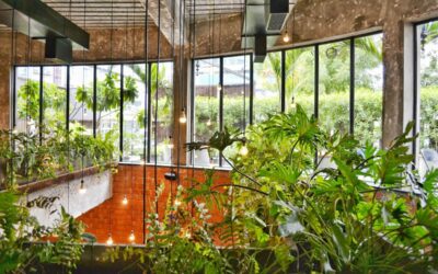 Different Types of Window Styles for Your Home